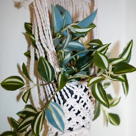 Aggeliki's Appartement